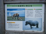 寒立馬