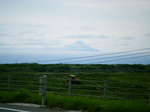 利尻山